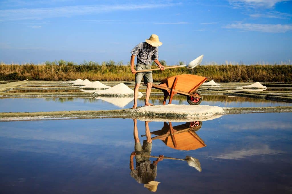 Mesquer, Quimiac et La Baule : gastronomie, marchés et loisirs entre mer et nature 9 - Mesquer, Quimiac et La Baule : gastronomie, marchés et loisirs entre mer et nature paludier jc nicole portage de la recolte du sel 2017 - Gites Mesquer Quimiac